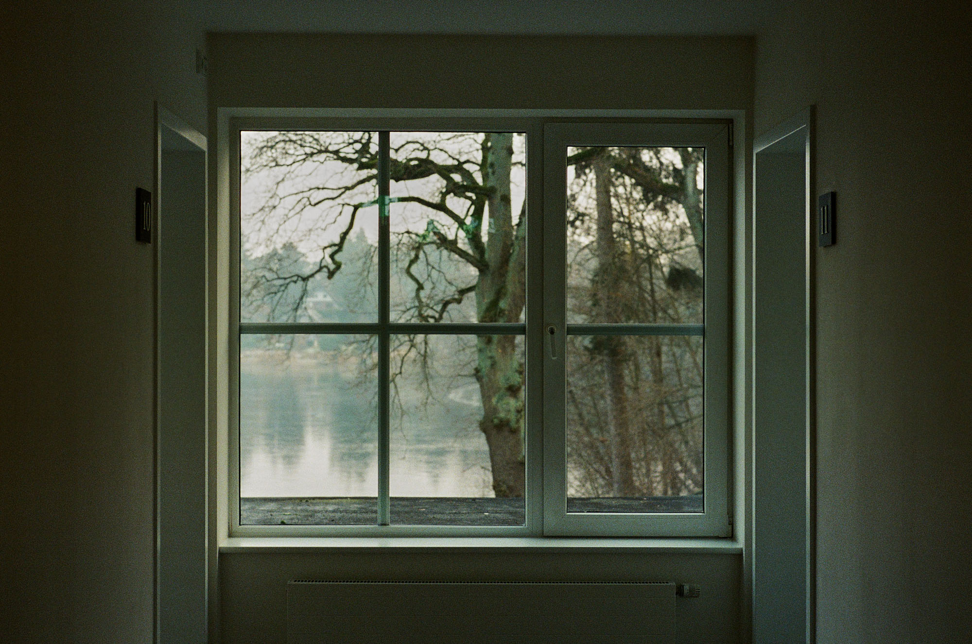 Dimly lit interior framing a window view of bare trees by a reflective lake.