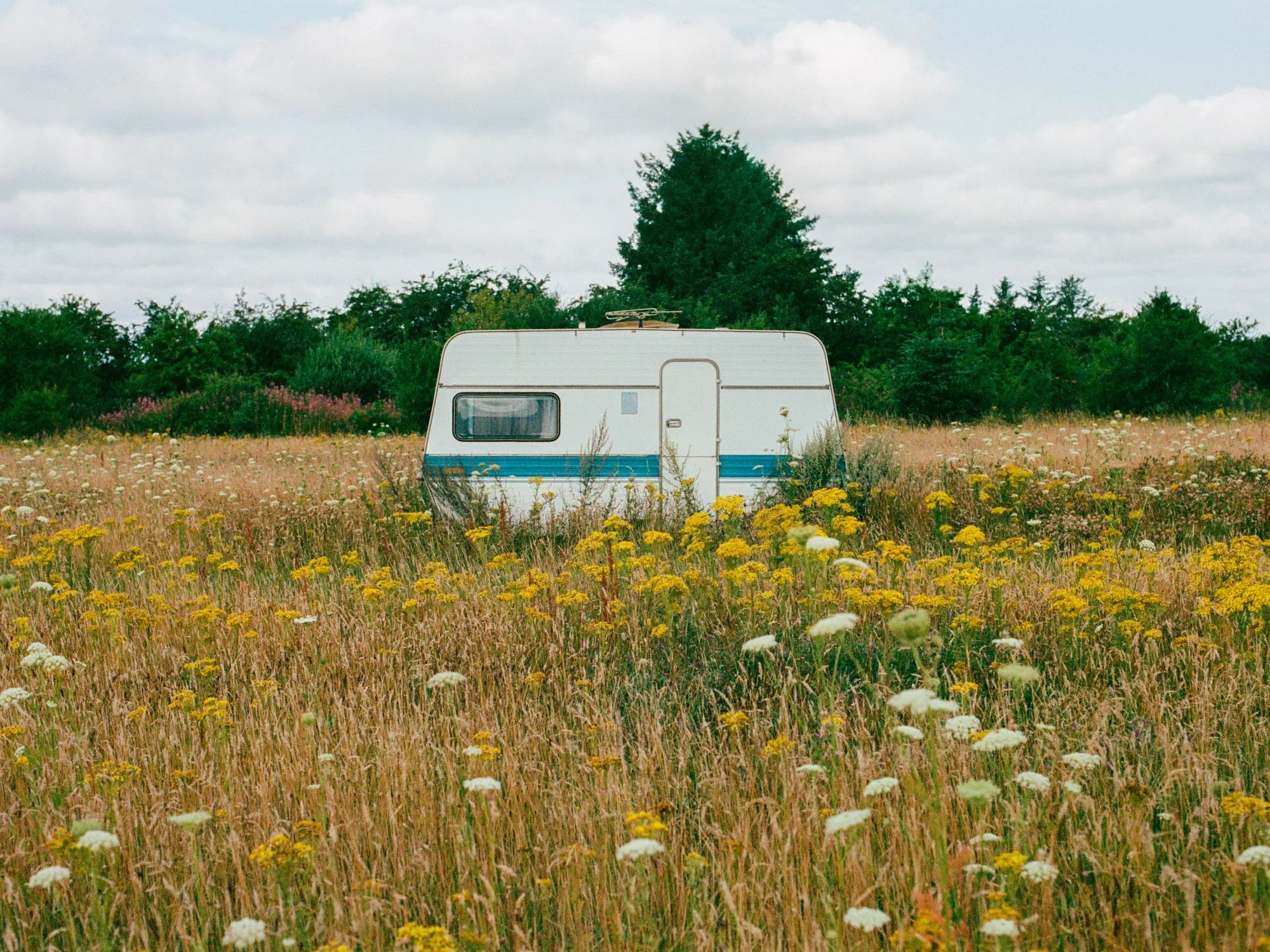White and blue caravan parked in a field of yellow and white wildflowers under a cloudy sky.