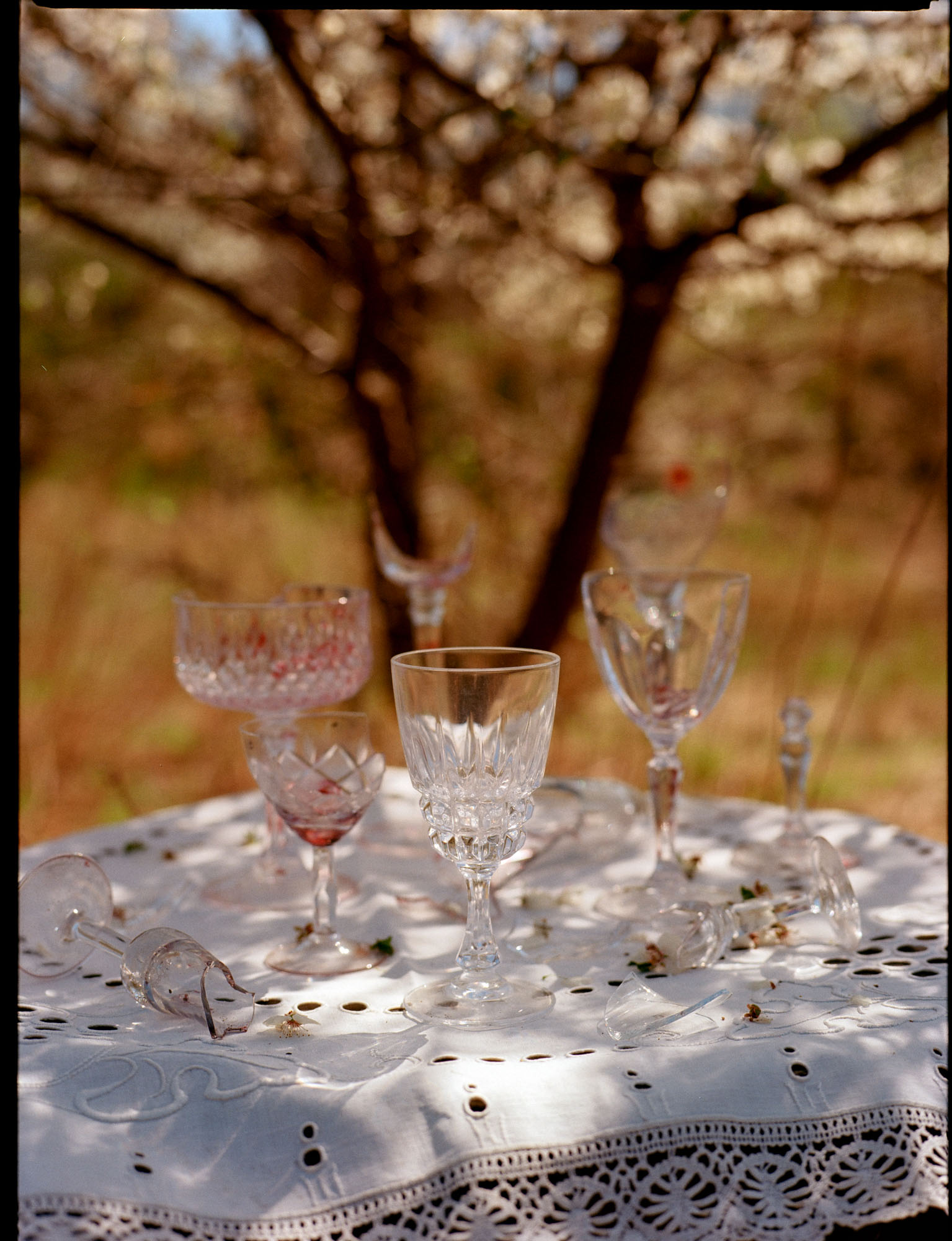A white lace tablecloth holds various glass goblets, some broken, under a blossoming tree.