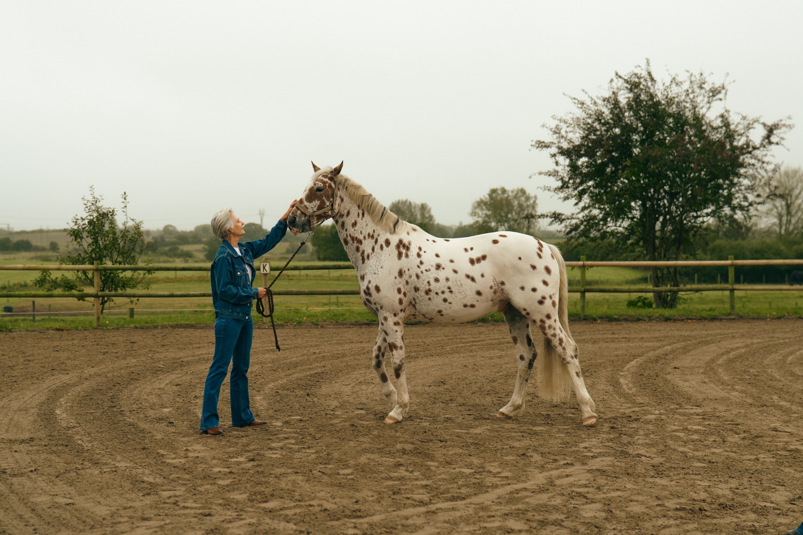 Senior woman in denim petting a spotted horse in an outdoor riding arena.