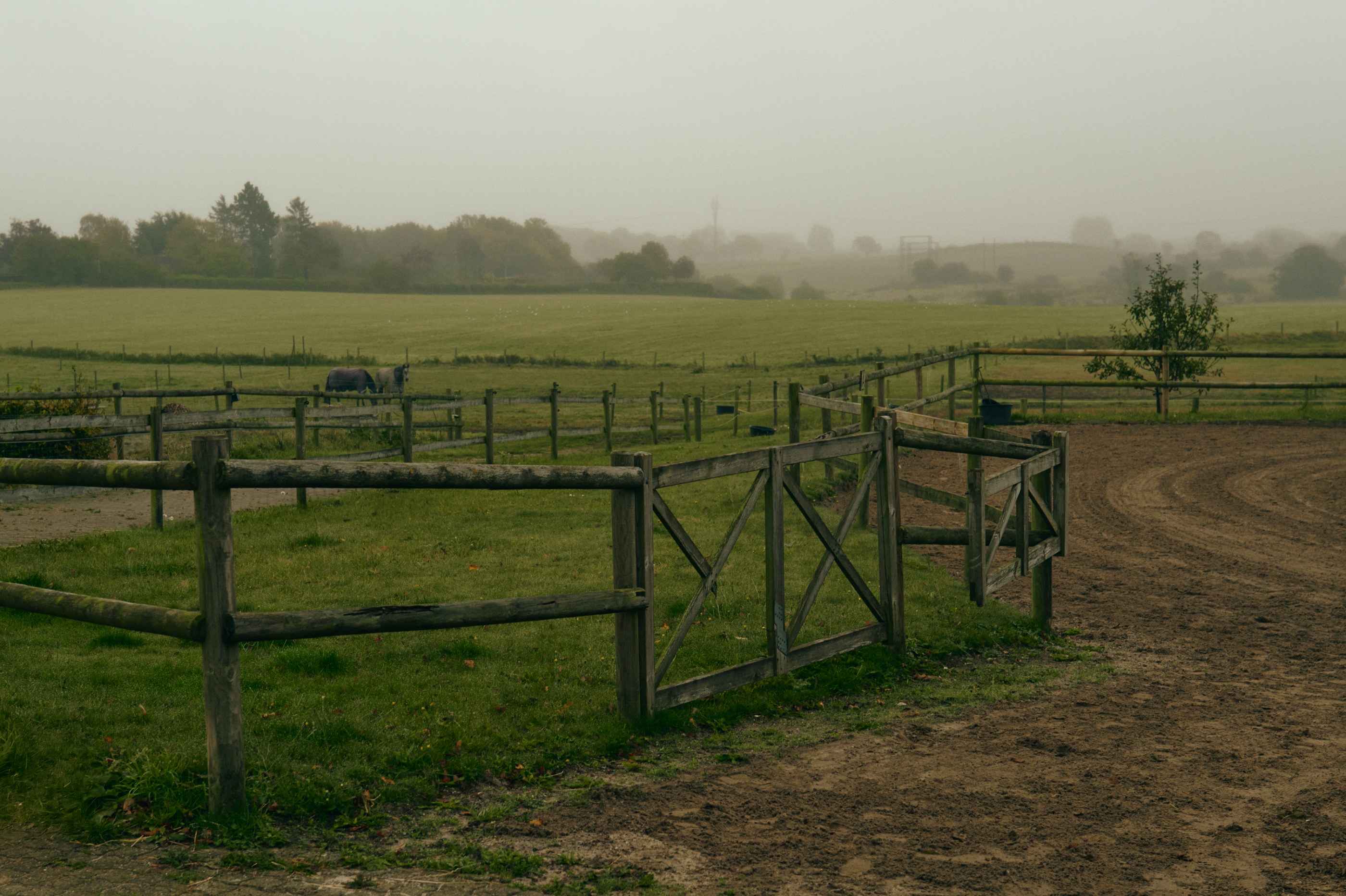 Misty horse farm with wooden fences, green pastures, a dirt track, and distant trees.
